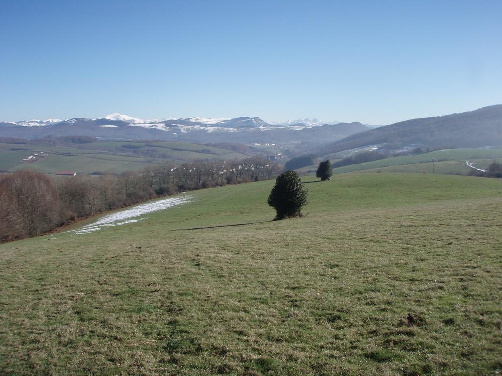 Casa Rural Irugoienea Espinal-Auzperri ภายนอก รูปภาพ